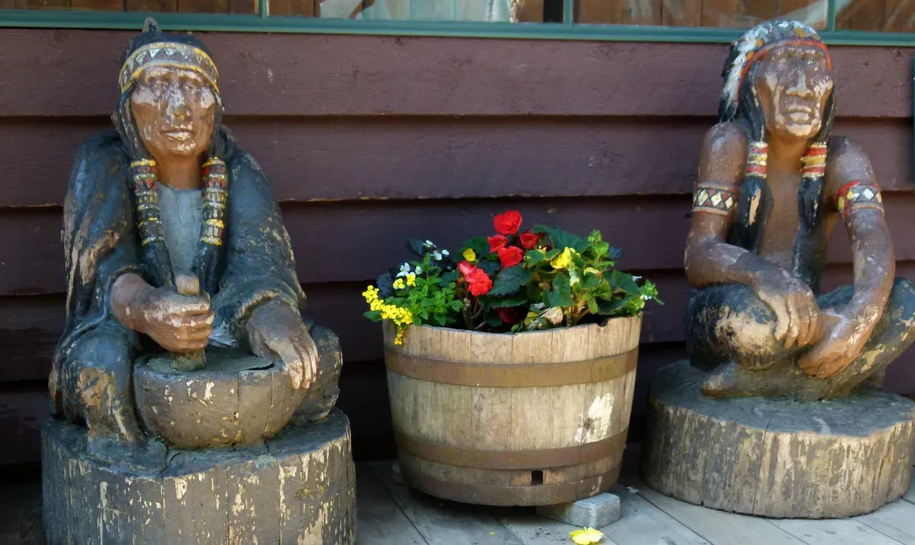 Plant Knowledge for Food and Medicine (Image Credits: Pixabay)