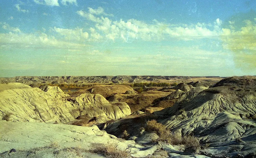 The First Weeks: Ecosystems on the Edge (Image Credits: Flickr)