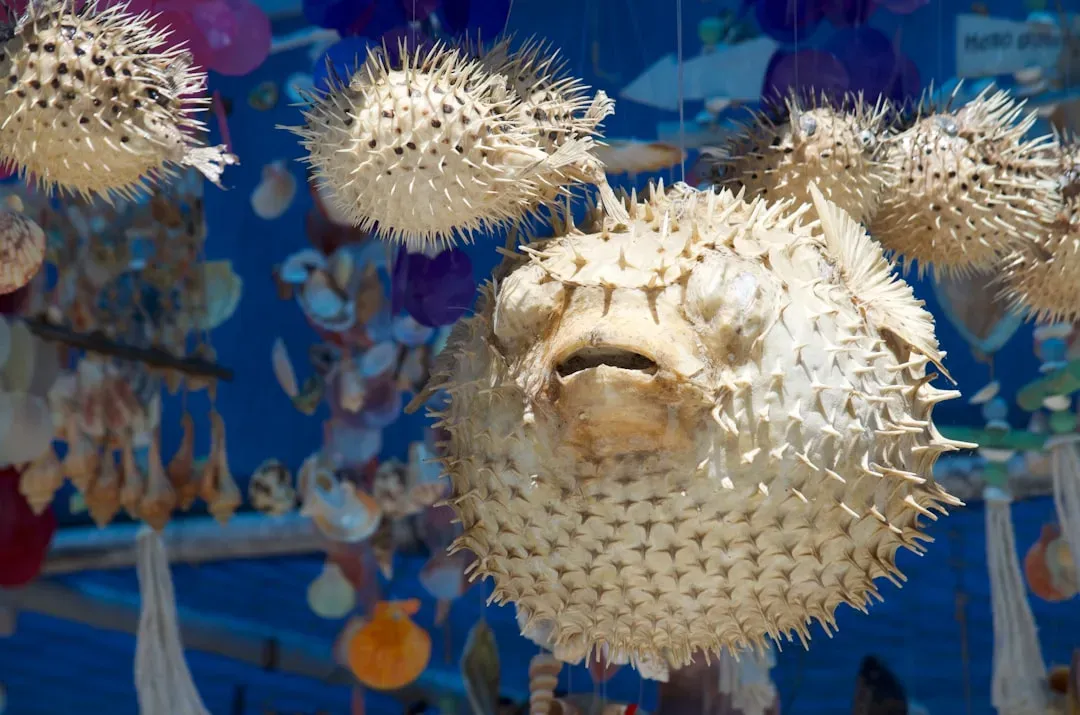 The Pufferfish's Toxic Transformation (Image Credits: Unsplash)