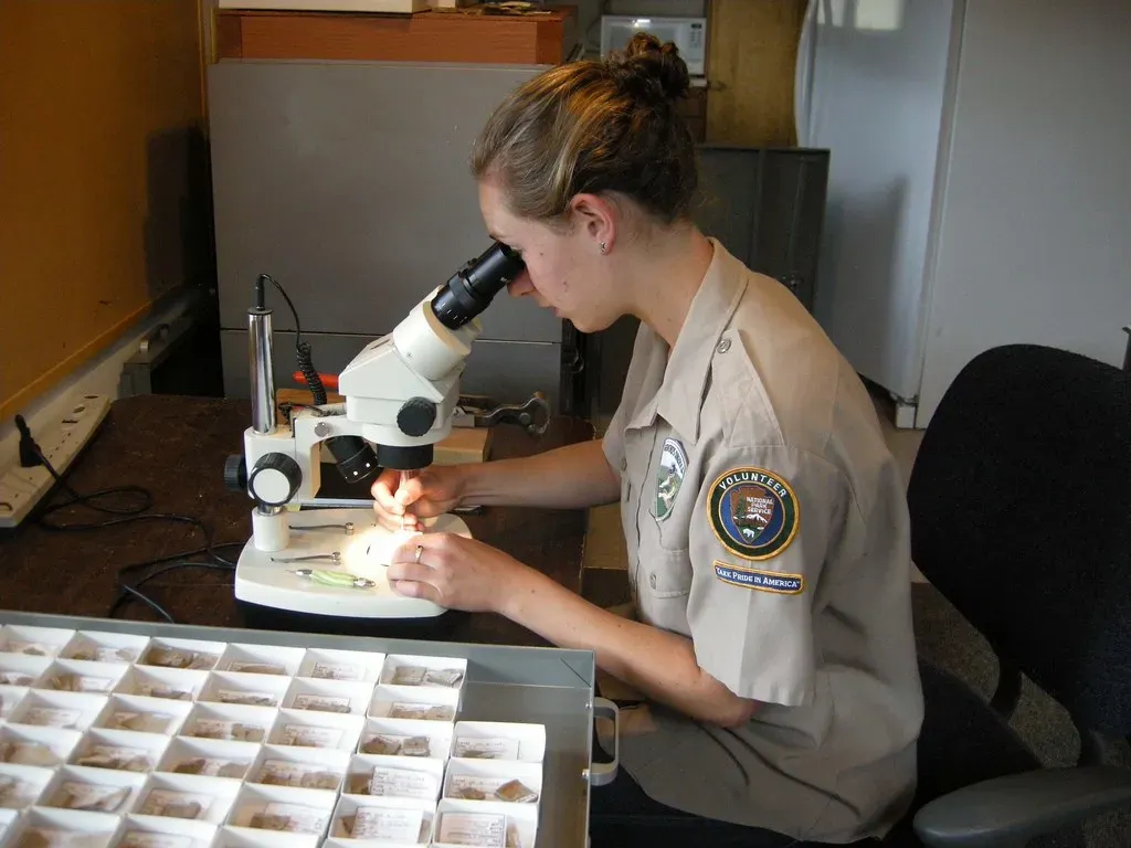 Conclusion (Image Credits: Flickr)