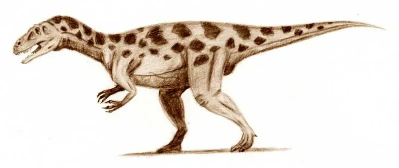 5. Torvosaurus gurneyi – The Forgotten Jurassic Killer (No machine-readable source provided. Own work assumed (based on copyright claims)., CC BY 2.5)