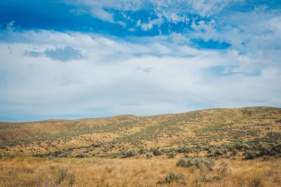 Crossing Harsh Deserts and Open Grasslands (Image Credits: Pexels)