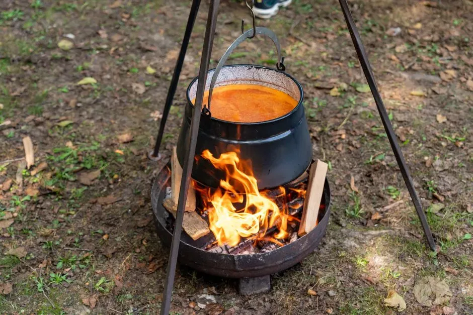 Firelight Communities: Cooking As Social Glue (Image Credits: Pexels)