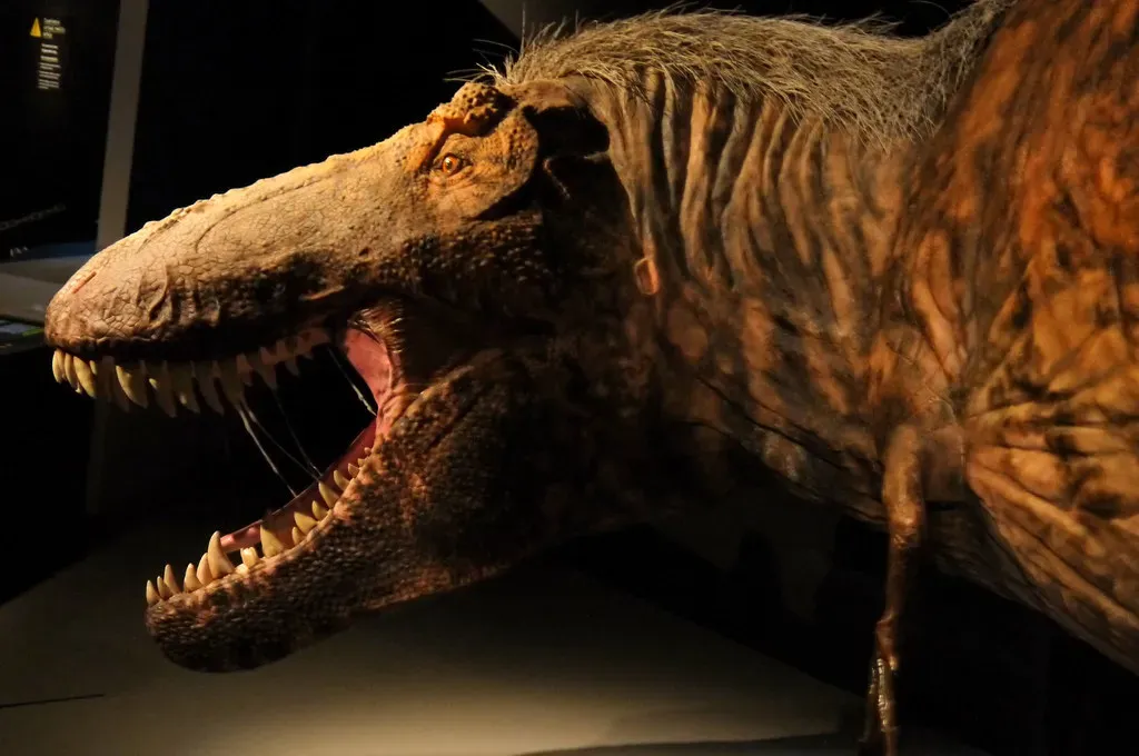 Conclusion: Rethinking the Tyrant King (edenpictures, Flickr, CC BY 2.0)