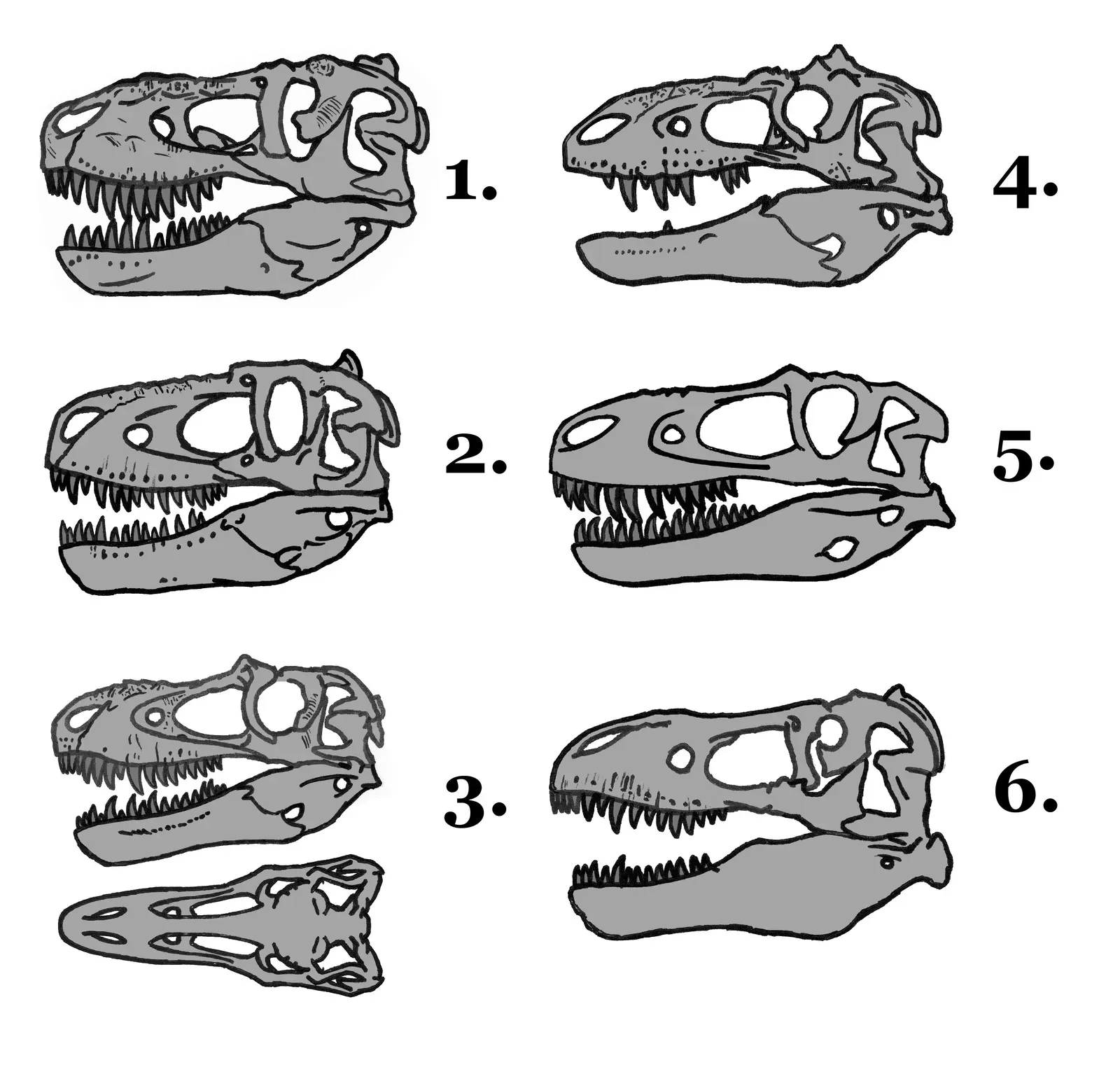 The Problem With Using Neurons to Measure Smarts (Image Credits: Wikimedia)