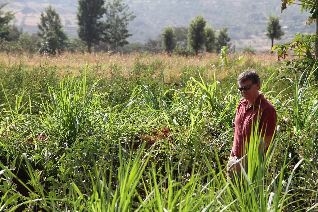 Lessons for Today: Ancient Resilience vs Modern Vulnerability (poptech, Flickr, CC BY-SA 2.0)