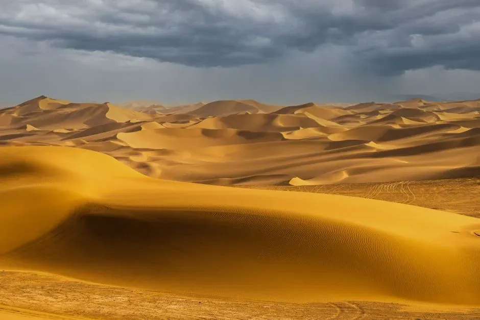Orbital Rhythms: How Tiny Wobbles in Earth’s Path Turned Sand into Savanna (Image Credits: Pexels)
