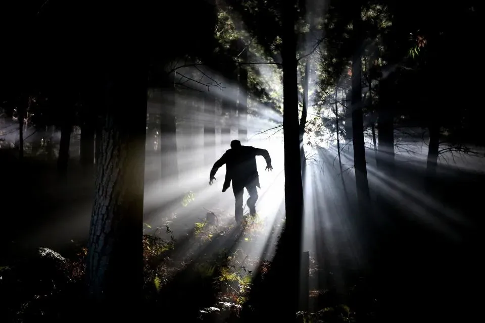 Is Fear of the Dark Really “Irrational,” or Just Outdated Software? (Image Credits: Stocksnap)