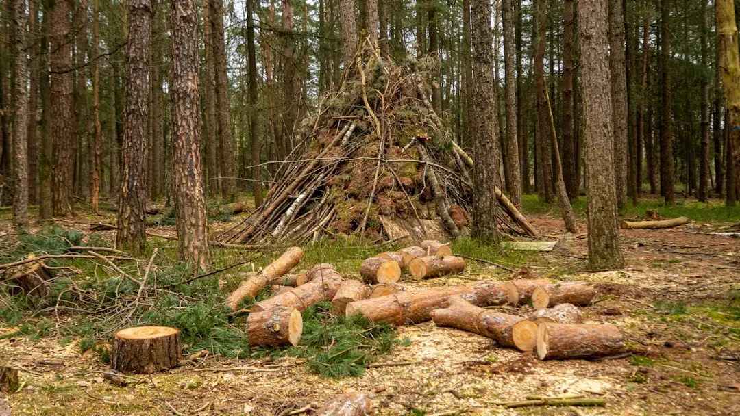 1. The Survival Pressure Theory: Skill as a Response to Harsh Environments (Image Credits: Unsplash)