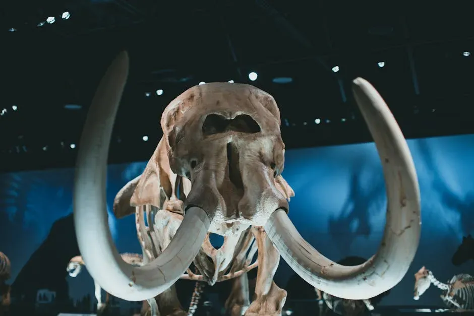 The Great Disappearing Act: What Wiped Them Out? (Image Credits: Pexels)