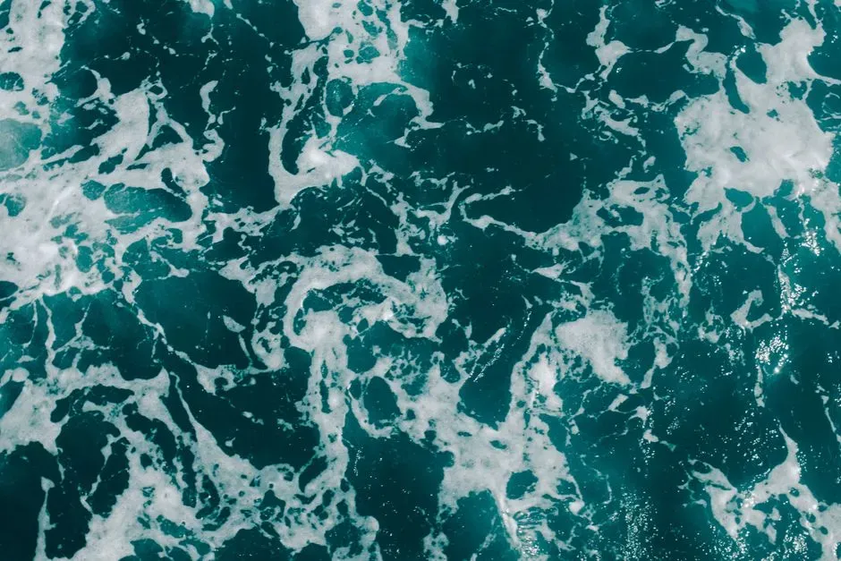 2. Oceans That Turned Toxic And Ran Out Of Breath (Image Credits: Pexels)