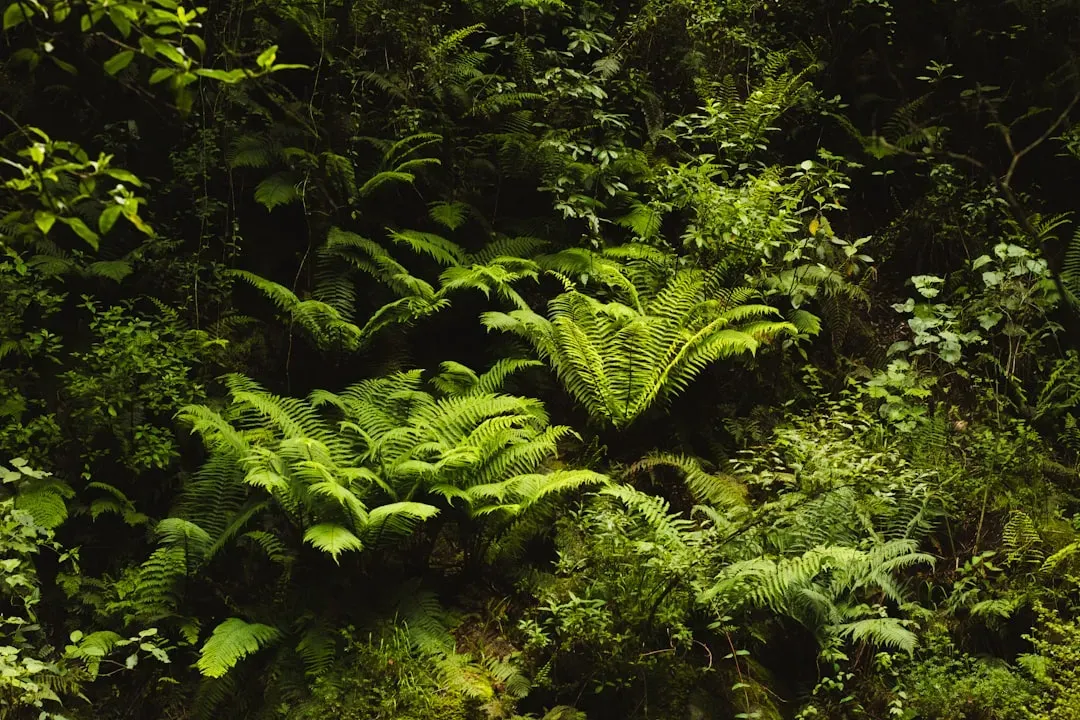 What the Mid-Cretaceous Teaches You About Today (Image Credits: Unsplash)