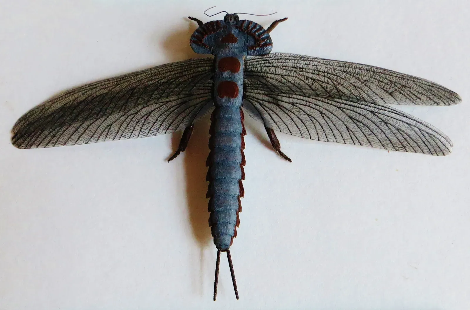 Other Monsters of the Carboniferous World (By Ghedoghedo, CC BY-SA 3.0)