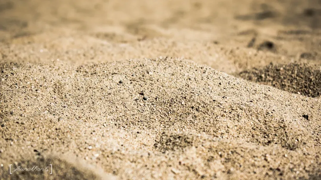 The hidden journey of a single grain beneath your feet (Image Credits: Unsplash)