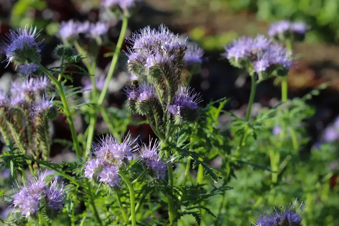 10. Flowering Plants Sparked an Evolutionary Arms Race (Image Credits: Unsplash)