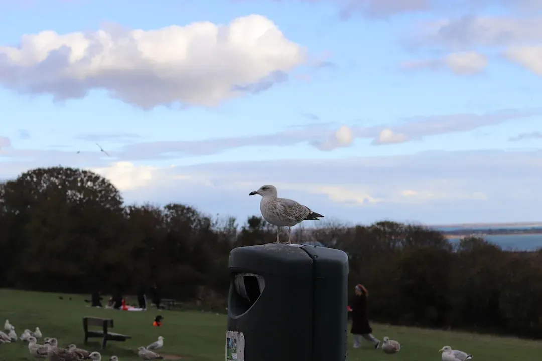 Bioacoustic Monitoring Listening to Nature's Hidden Stories (Image Credits: Unsplash)