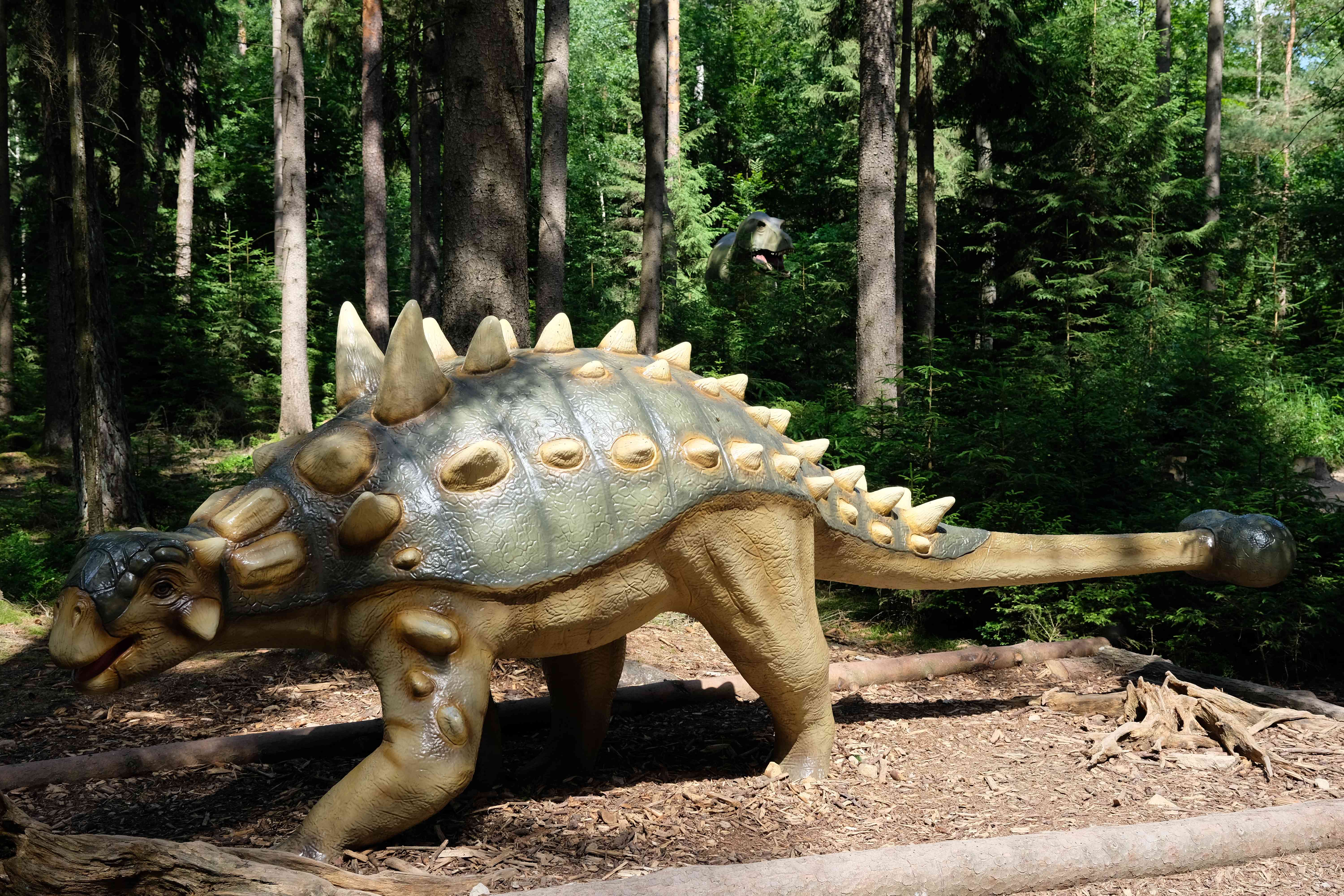 Capricorn: The Determined Ankylosaurus (Image Credits: Wikimedia)