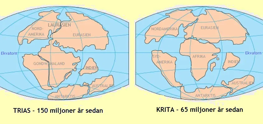 How Continental Drift Split Species Apart and Drove Explosive Evolution (Image Credits: Wikimedia)