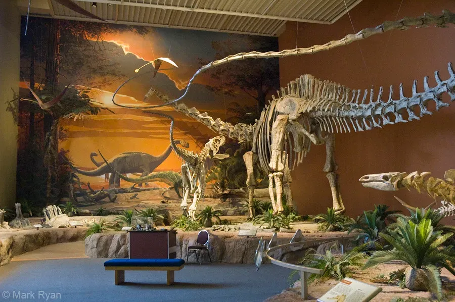 Conclusion (Image Credits: Flickr)