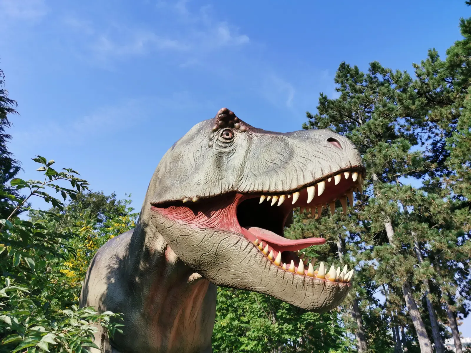 #6 - The Roar That Real Dinosaurs Never Made (By Elekes Andor, CC BY-SA 4.0)