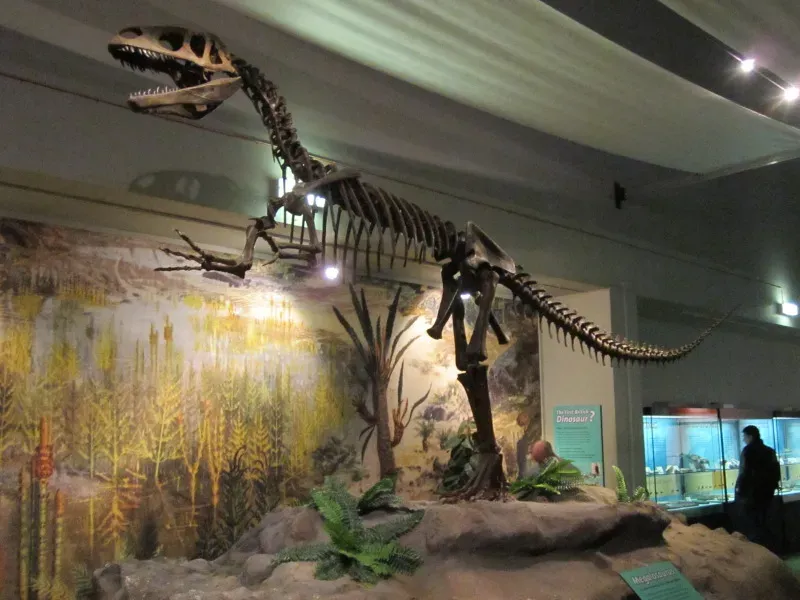 #5 - Megalosaurus: Europe's First Named Dinosaur, Assembled Like a Giant Lizard (By Reptonix free Creative Commons licensed photos, CC BY 3.0)