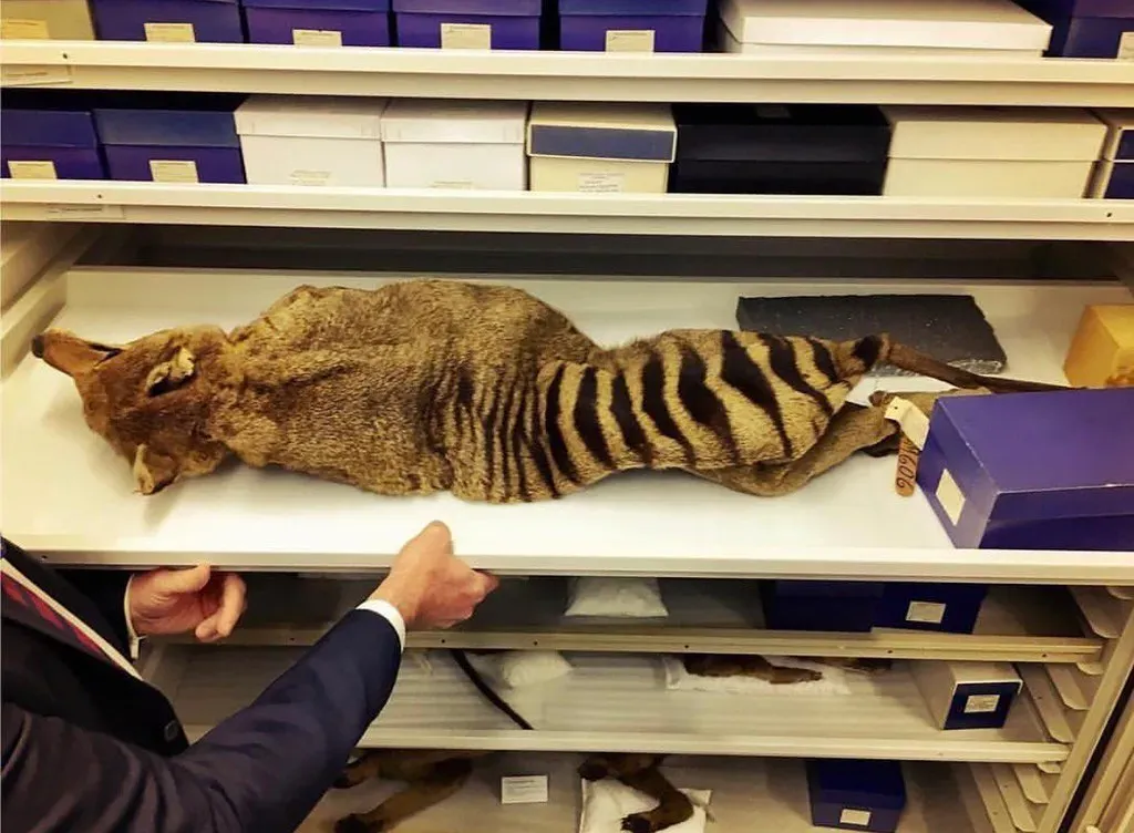 The 2023 Study That Shocked the Extinction Timeline (Image Credits: Flickr)