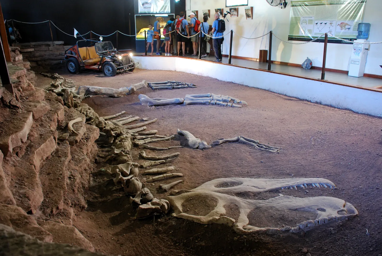 #4 - Its Discovery Was Basically an Accident (By Simona.cerrato, CC BY-SA 3.0)