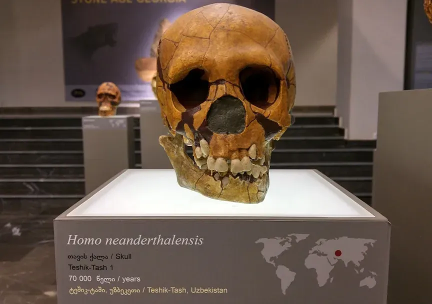 #9 - Neanderthals Weren't Living Longer Than Us - They Were Barely Reaching Middle Age (Image Credits: Unsplash)