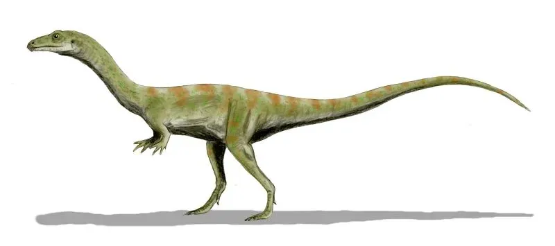 Shuvosaurus: The Dinosaur That Wasn't Really a Dinosaur (Image Credits: Wikimedia)