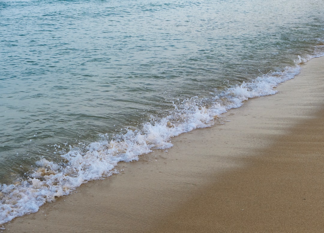 Taurus - The Steady Continental Shelf Currents (Image Credits: Unsplash)