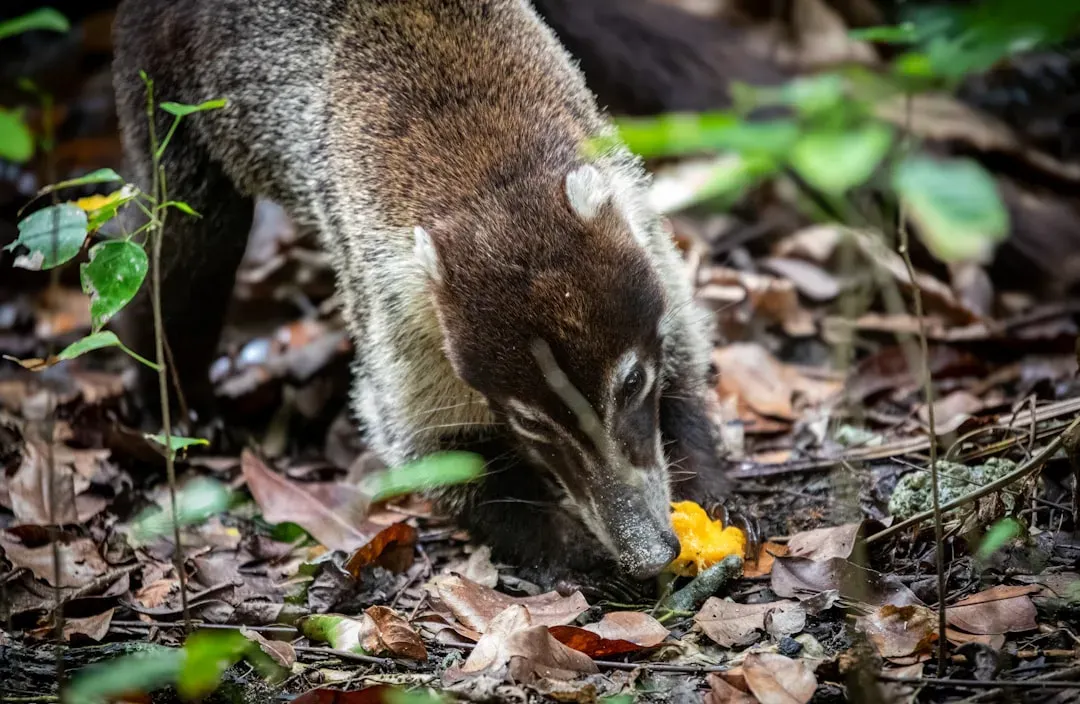 Why Mammals Survived When Dinosaurs Did Not (Image Credits: Unsplash)