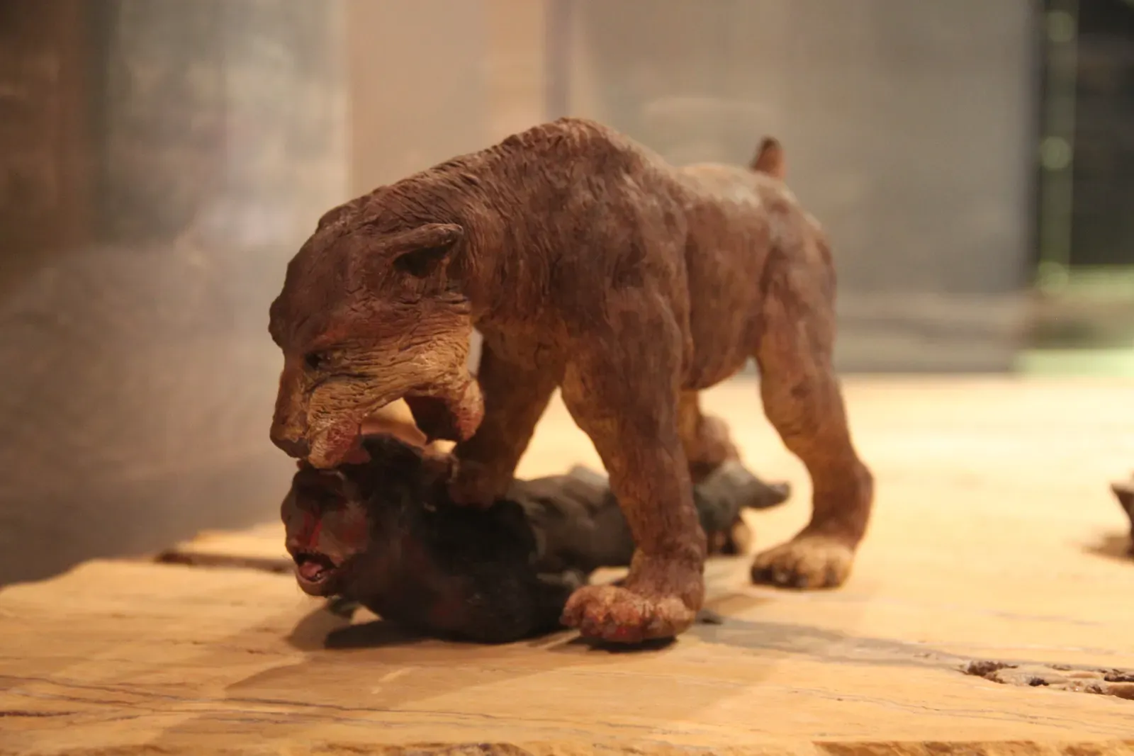 #6 - It Regularly Hunted Animals Several Times Its Own Size (By Gary Todd, CC0)