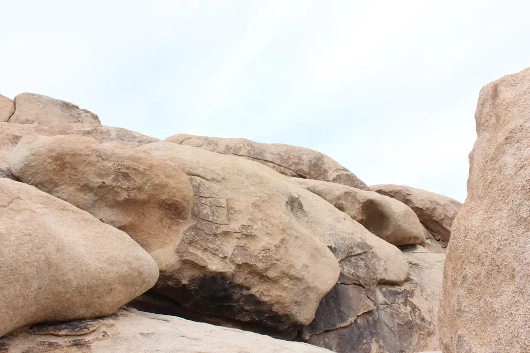 Reading the stones: why this ancient evidence should change how we see our world (Image Credits: Unsplash)