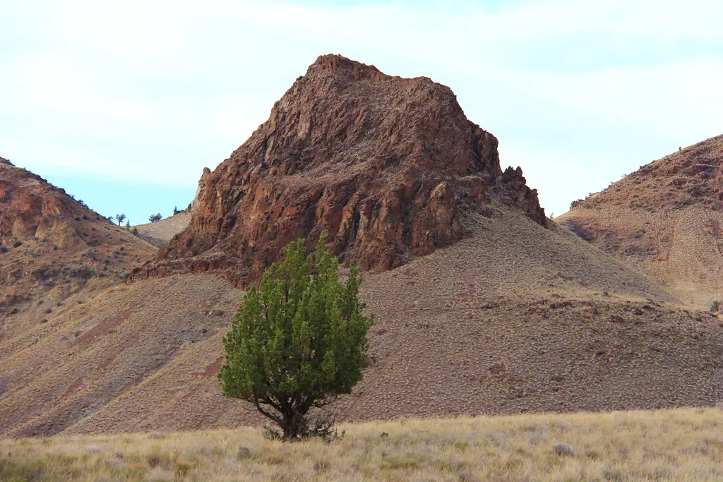 Conclusion (BLM Oregon & Washington, Flickr, CC BY 2.0)