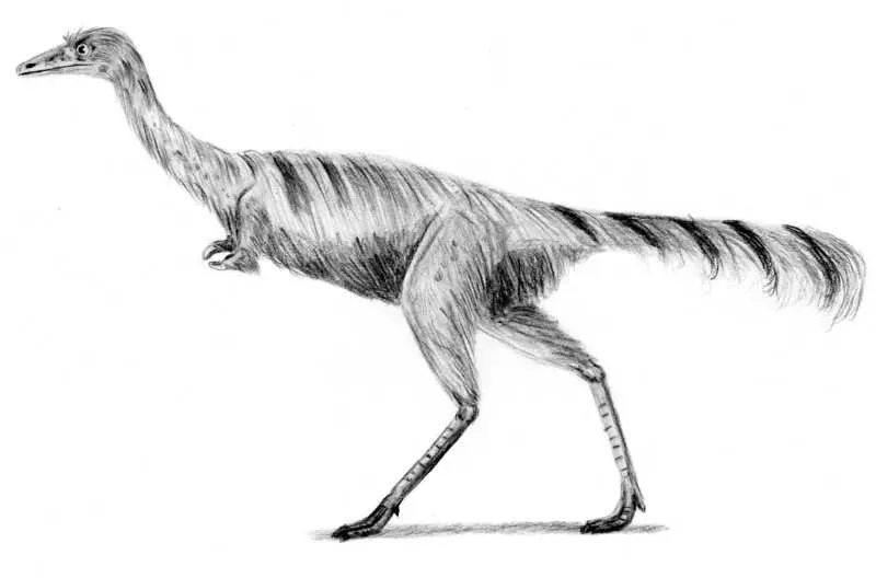 Mononykus: The One-Clawed Desert Specialist (No machine-readable source provided. Own work assumed (based on copyright claims)., CC BY 2.5)