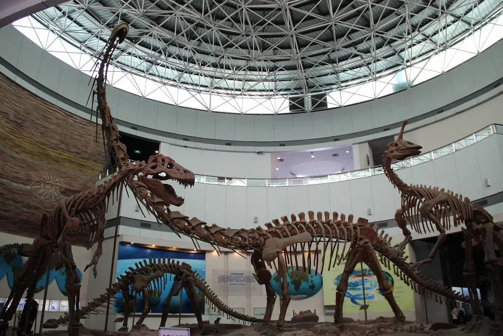 The Bone Wars and Complete Skeletons (Image Credits: Flickr)