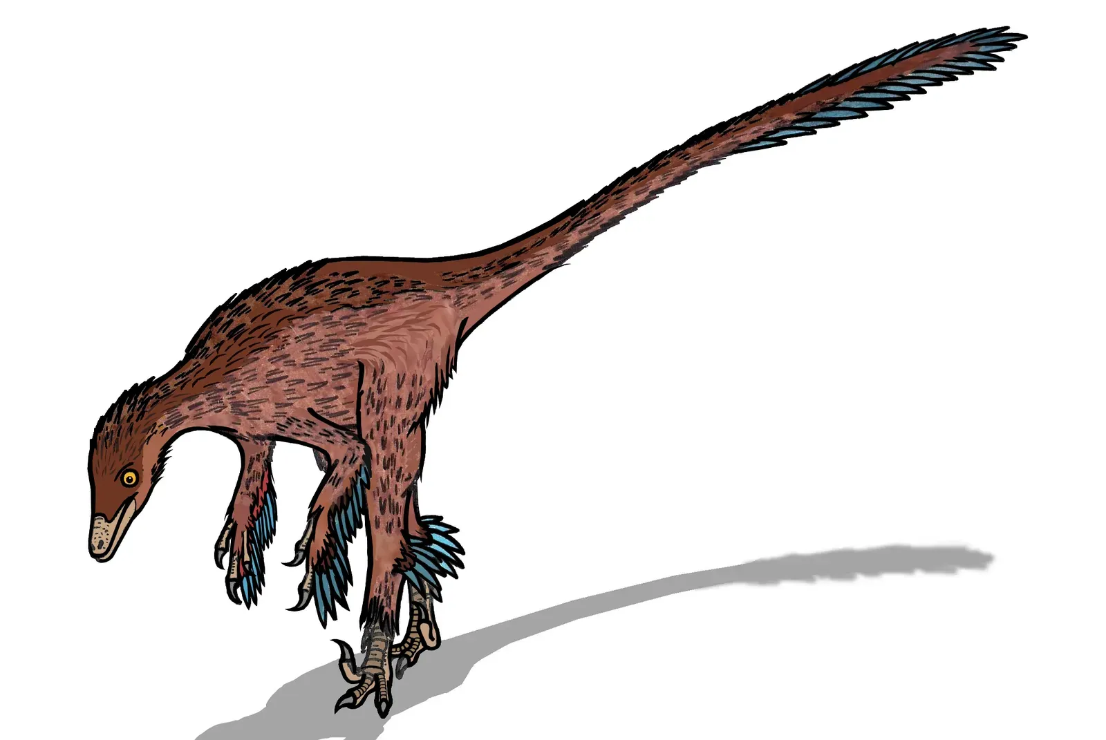 Gemini: Troodon, the curious multitasker of the Cretaceous (By Conty, CC BY 3.0)