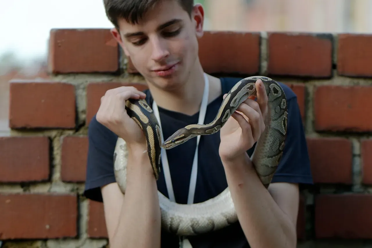 Personal Encounters, Phobias, and Why Some People Love Snakes Anyway (Image Credits: Pixabay)