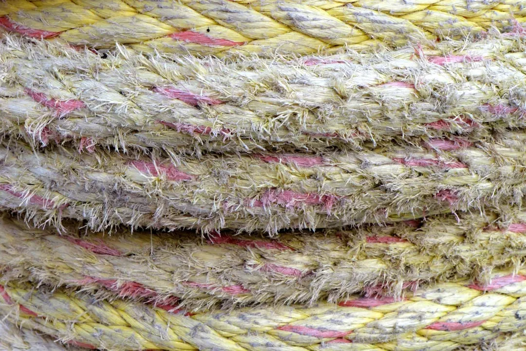Fibers, Clothing, and Rope: The “Soft” Tech That Changed Everything (Image Credits: Unsplash)
