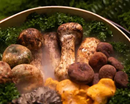 #12 - Birch-Bark Containers and His Final Meal (Image Credits: Pexels)