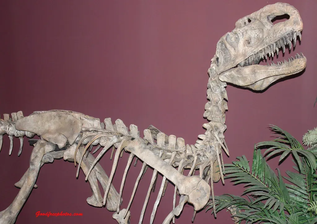 Walking Among Prehistoric Giants: Fossils and Deep Time (Archbob, Flickr, CC BY 2.0)