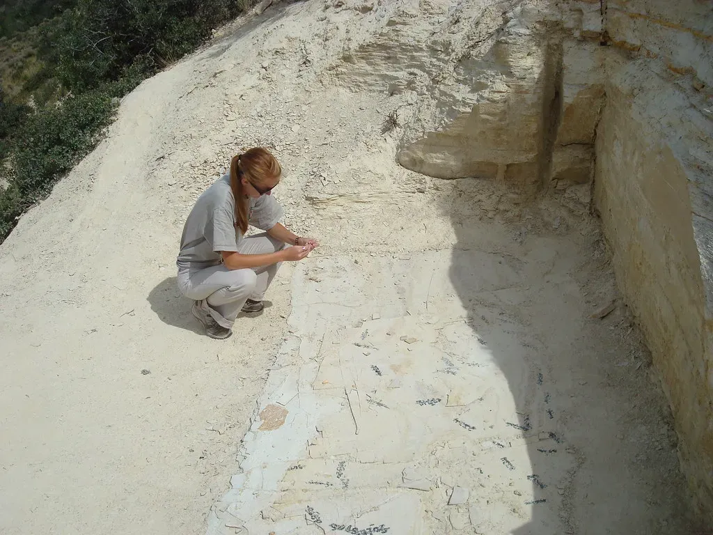 Conclusion (Image Credits: Flickr)