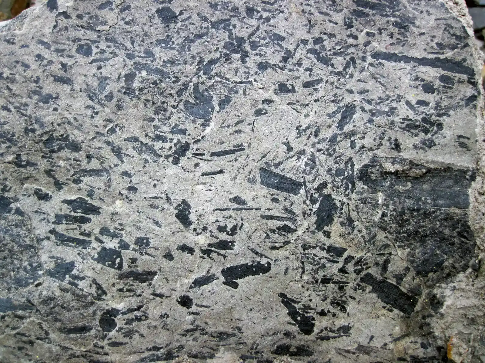 9. New Technology Is Detecting Chemical Traces of Life from Over 3 Billion Years Ago (Image Credits: Wikimedia)