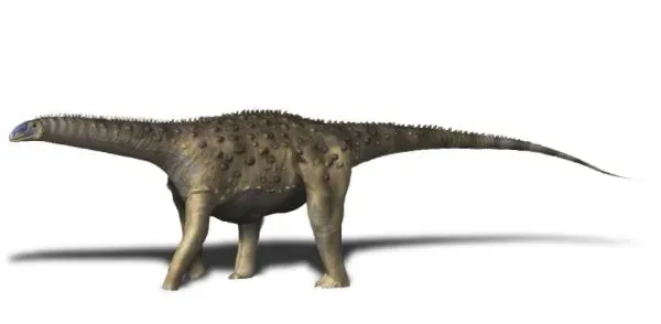 Saltasaurus: The Armored Giant That Rewrote Sauropod Science (Image Credits: Wikimedia)