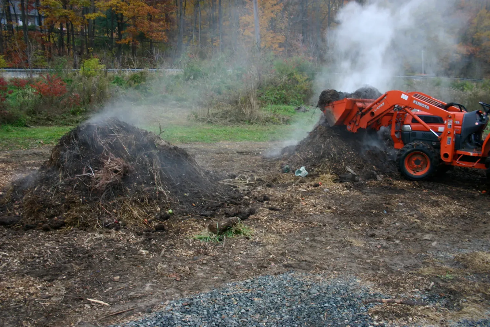#3 It Heats Up Enough to Kill Many Weed Seeds and Pathogens (By SB Johnny, CC BY-SA 3.0)