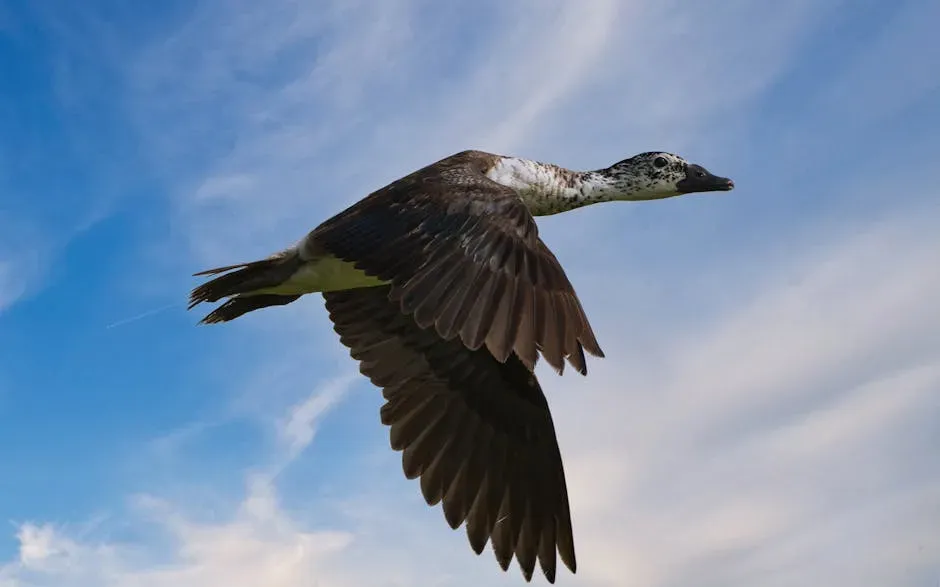 6. Flight Evolved Through Multiple Pathways, Not Just One Simple Route (Image Credits: Pexels)