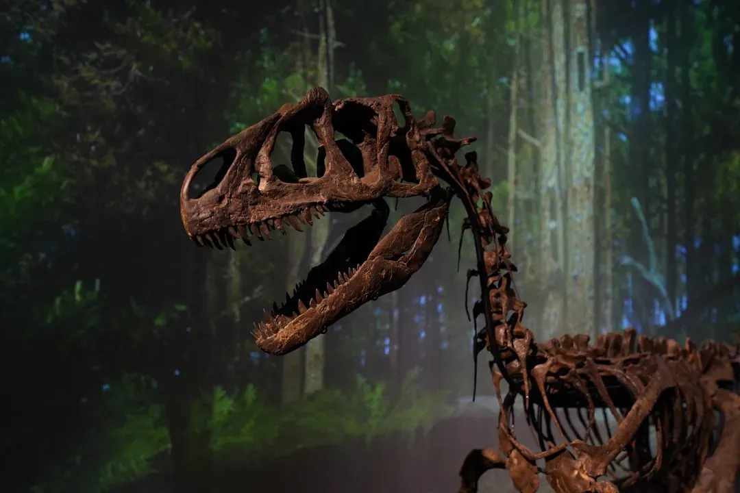 Extinction as a Warning: Moral Lessons from Deep Time (Image Credits: Unsplash)