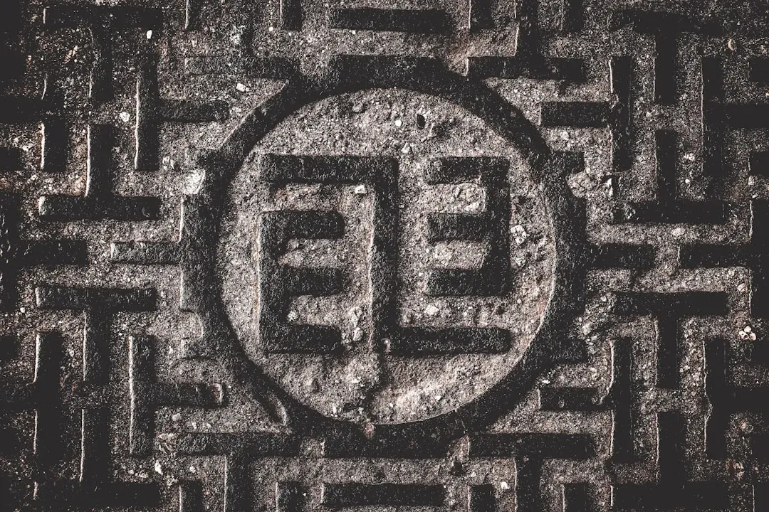 Conclusion – Finding Your Modern Tribe in an Ancient Mirror (Image Credits: Unsplash)