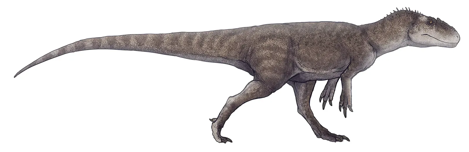 Gasosaurus: Accidentally Sounding Like a Fart Joke (By Paleocolour, CC BY-SA 4.0)