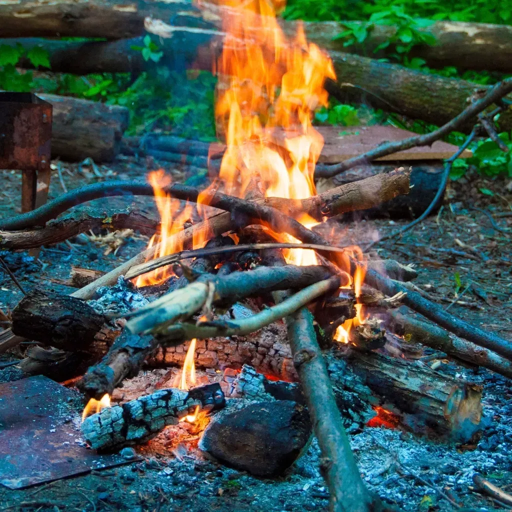 6. Fire Satisfies A Deep Urge To Control Nature (Safely) (Image Credits: Rawpixel)